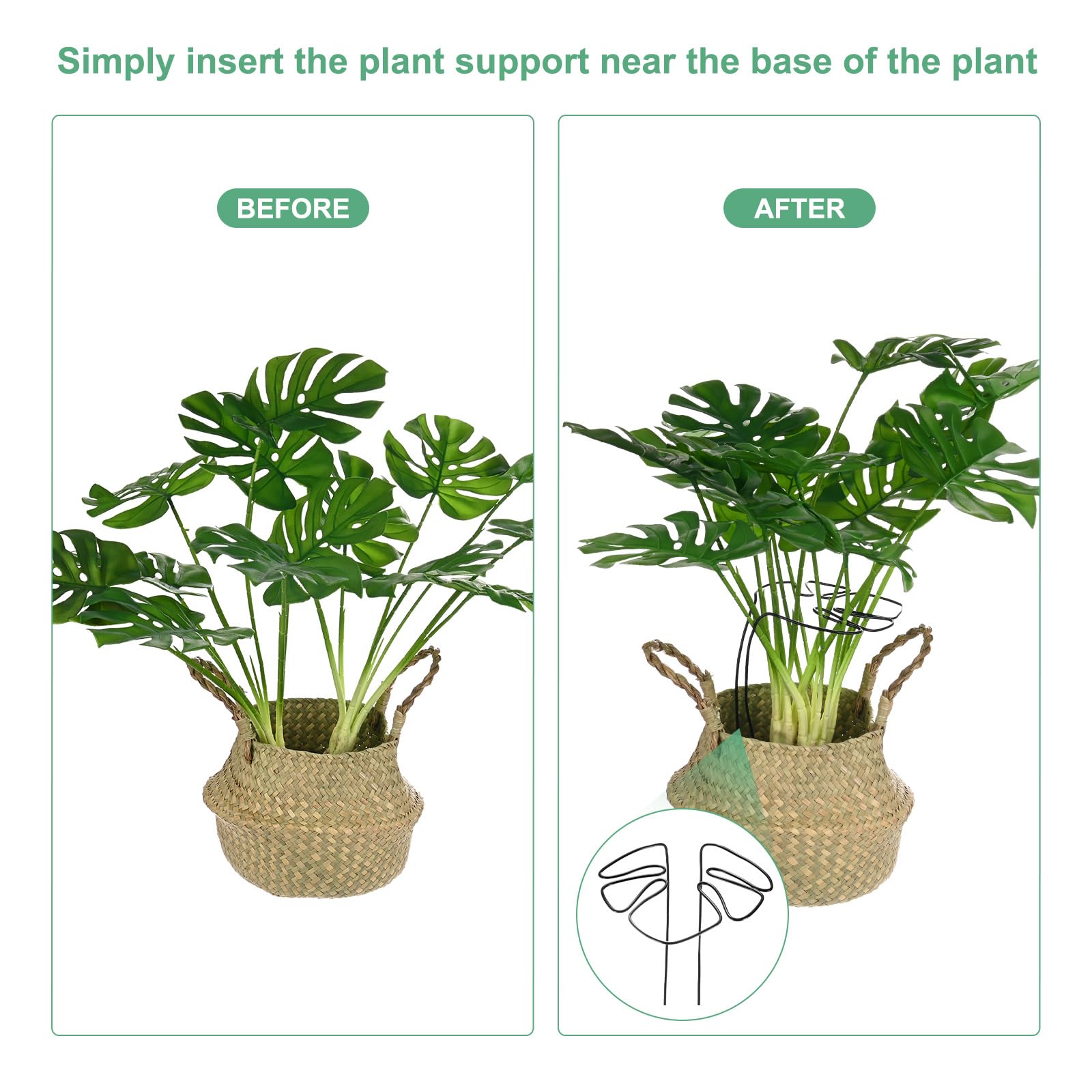 View 4