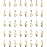Ruwado 50 Pcs Musical Note Charm Metal Music Symbol Vintage Elegant Chic Instrument Pendant Beads for Craft Art Supplies Jewelry Making Finding DIY Necklace Bracelet Earring