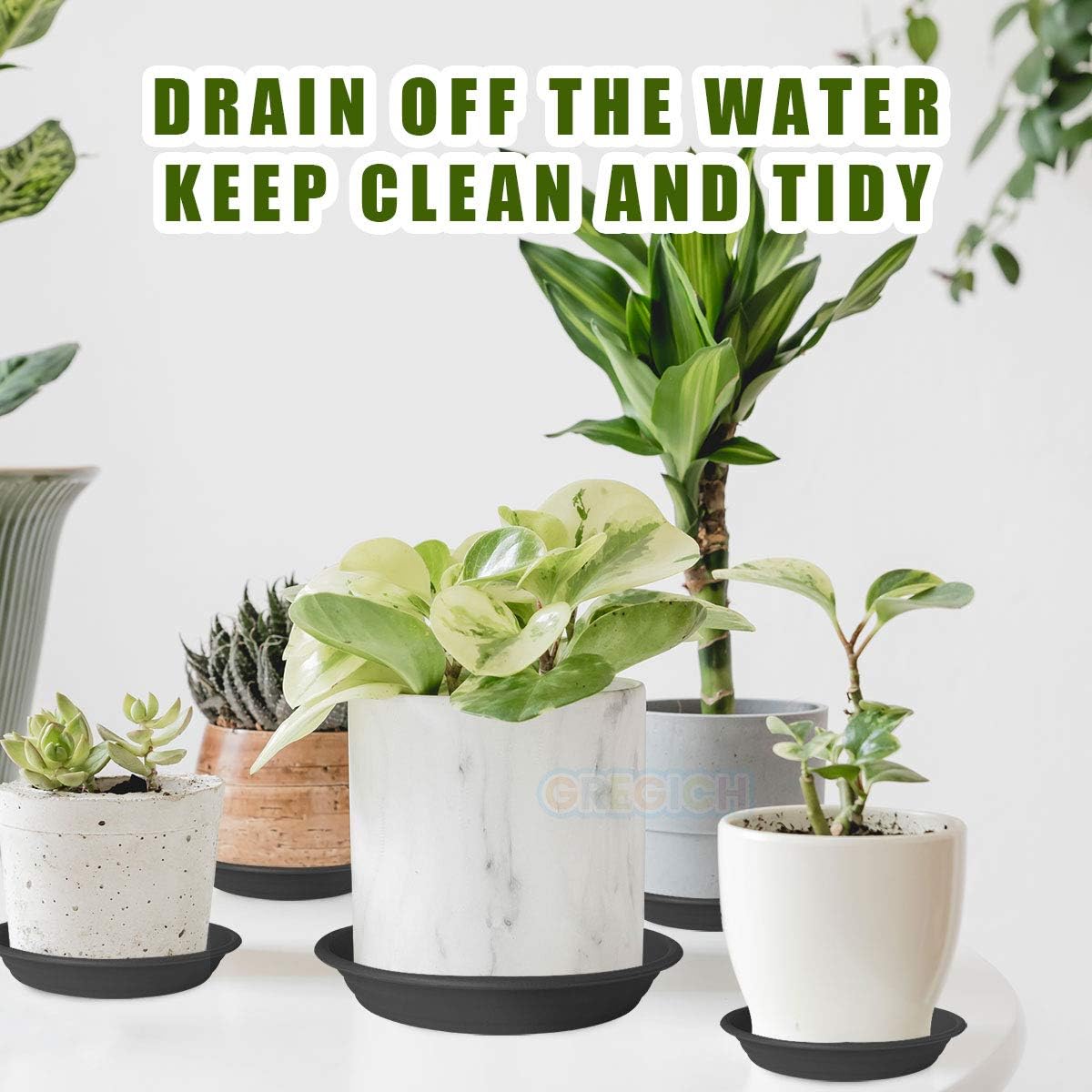 GREGICH 6 Pack Plastic Plant Saucer Drip Trays, 4 6 8 10 12 Inch Plant Saucers for Indoors Outdoor Plant, Thick Heavy Durable Sturdy Flower Pot Saucers Plant Trays for Pots Planter : Garden & Outdoor
