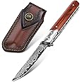 FUSIONKEI Damascus Pocket Knife with Vintage Leather Sheath, Damascus Folding Knife with VG10 Damascus Steel Blade and Wooden Handle, EDC Knife for Outdoor Survival Camping, Personalized Collectible Gifts for Men