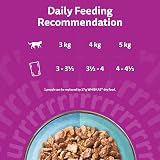 Whiskas Duo Adult Wet Cat Food in Jelly Ocean Delight 12x85g Pack of 4 view 4