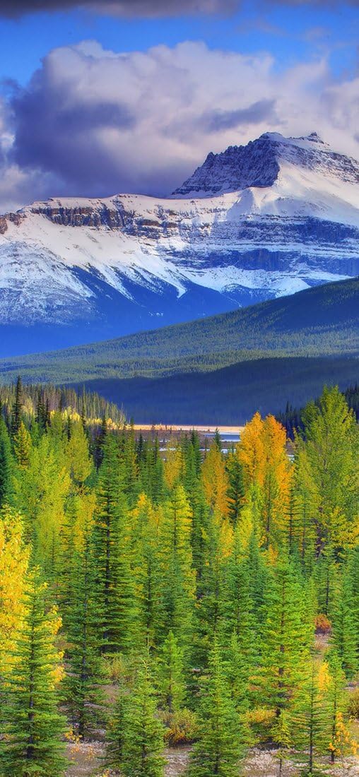 PeelitStickit, Beautiful Landscapes Wall Murals, ID-211, vinyl, Multi-colour
