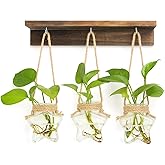 XXXFLOWER Wall Hanging Propagation Station with 3 Star-Shaped Glass Vase, Plants Propagation Stations for Hydroponics Living Room Office Decoration,Unique Gardening Gifts for Plant Lover