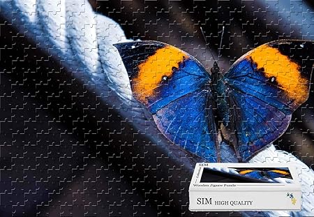 Amazon Sim 木製素材 グッドパズルジグソーパズルプレーヤー ボックスギフトラップ バタフライロープ 6 X 15 1インチ 500ピースジグソーパズル ジグソーパズル おもちゃ