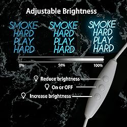 FAXFSIGN Smoke Hard Play Hard Neon Sign Led Neon