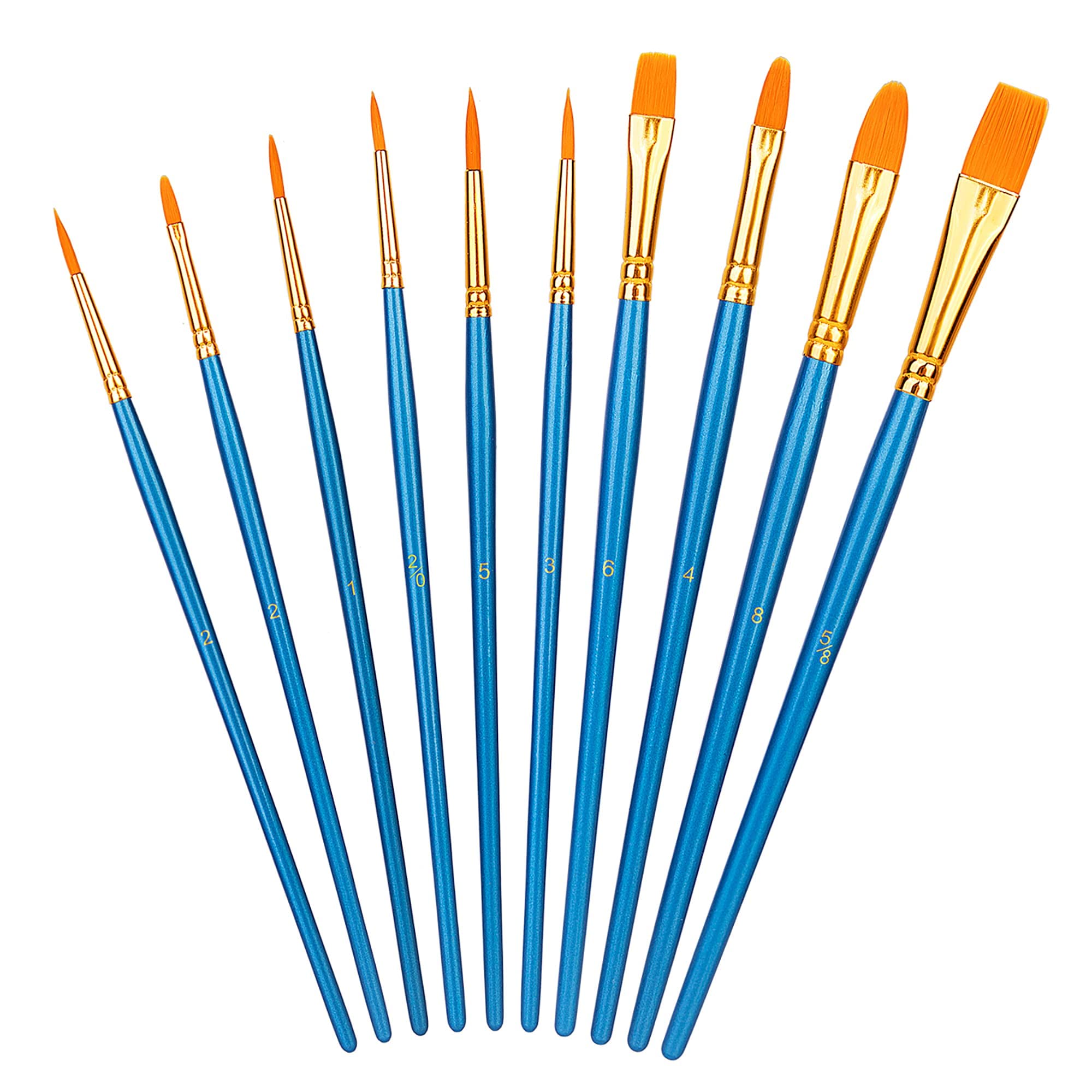 Amazon Basics Paint Brush Set, PBT Paint Brushes with Wood Handle, 10-Piece Set Different Sizes, for Watercolour Oil Acrylic Craft Painting, Blue