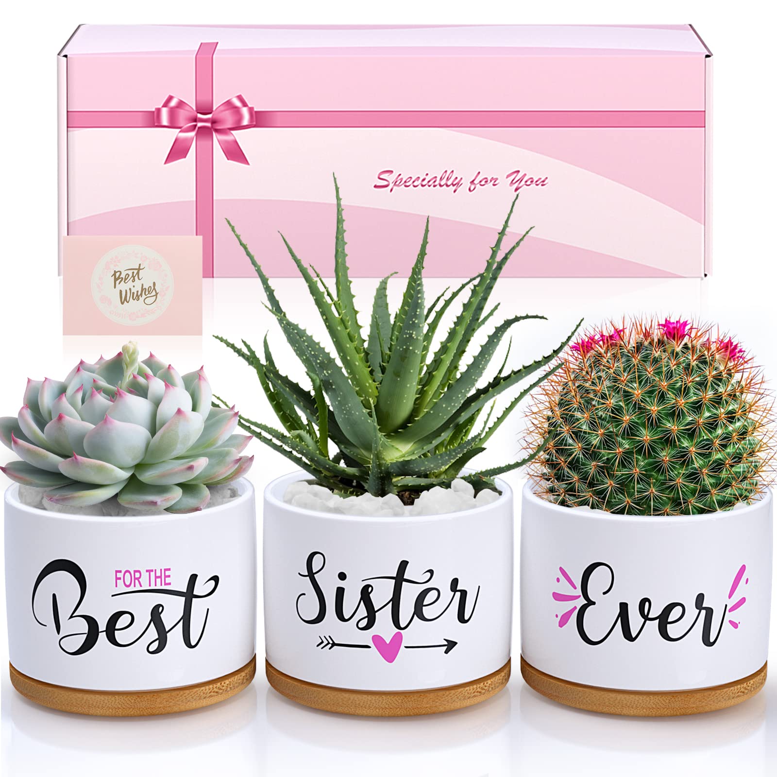 TuDou Birthday Gifts for Sister, Christmas Sister Gifts for Sister Brother Friends from Sister Brother Bestie, Best Sister Ever Ceramic Succulent Pots, Unique Presents Arrive Beautifully Gift Boxed