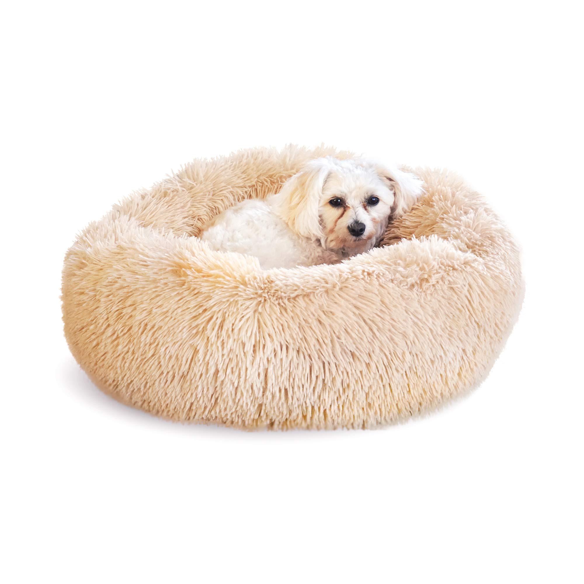 Photo 1 of Whiskers & Friends Cat Bed Dog, Cat Beds for Indoor Cats Washable, Orthopedic Soft Fluffy Round Calming Pet Bed for Small to Large Kitty Kittens & Dogs, Small Dog Beds & Furniture