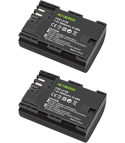 Amazon.com : Battery Pack for Canon EOS 5D MK II, EOS 5D MK III