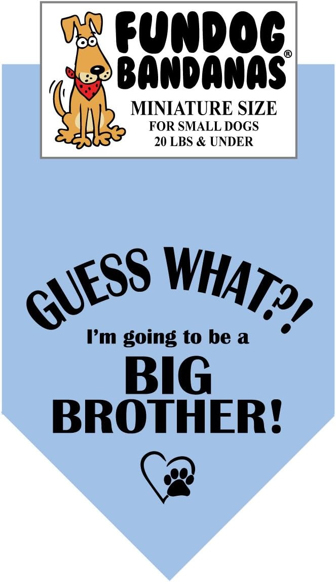 Amazon Com Guess What I M Going To Be A Big Brother Dog Bandana Miniature For Small Dogs Less Than 20 Lbs Kitchen Dining