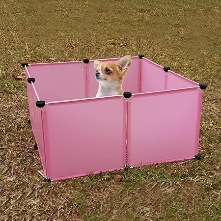 juegos de jardin para perros