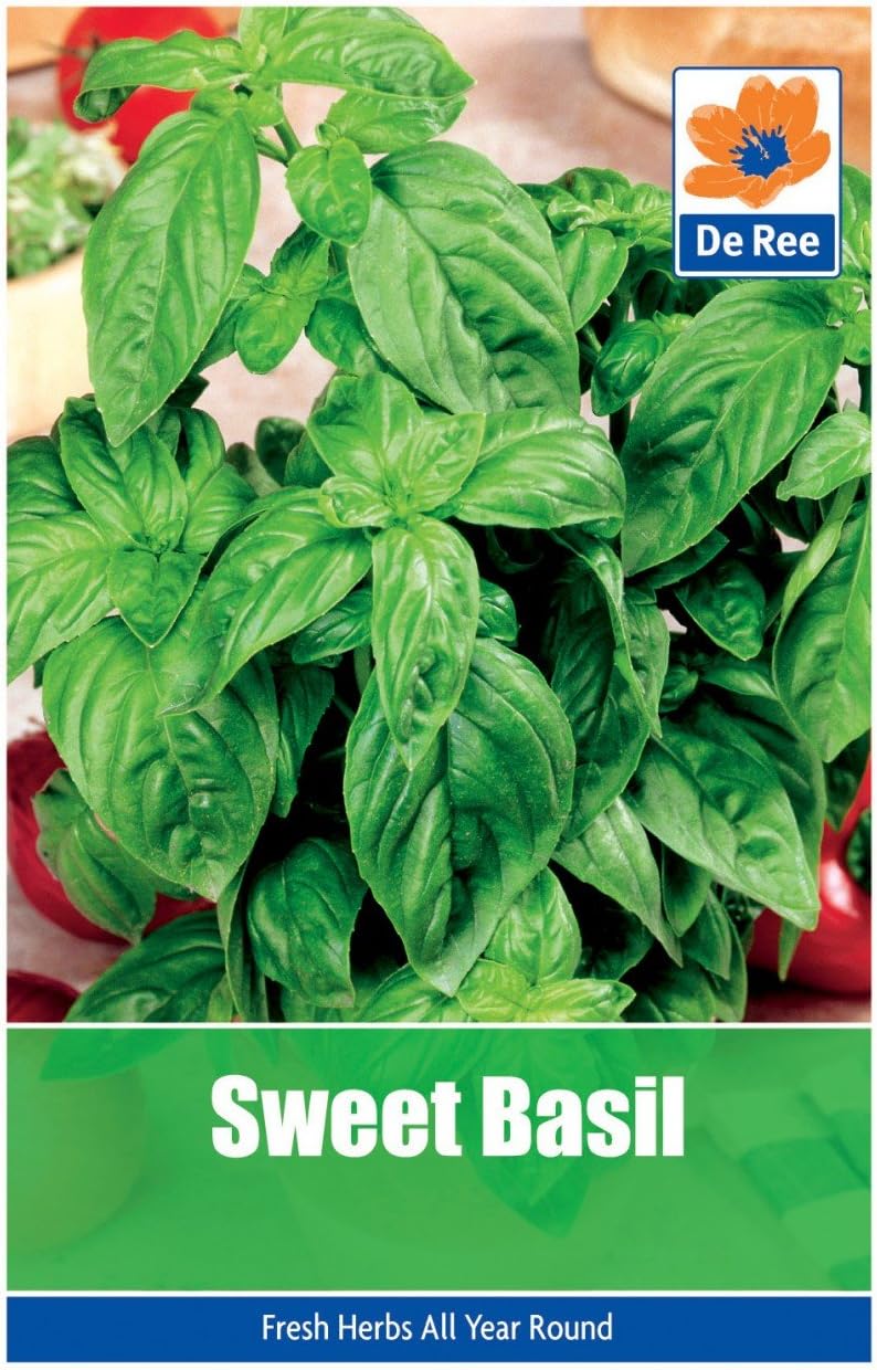 Sweet Basil