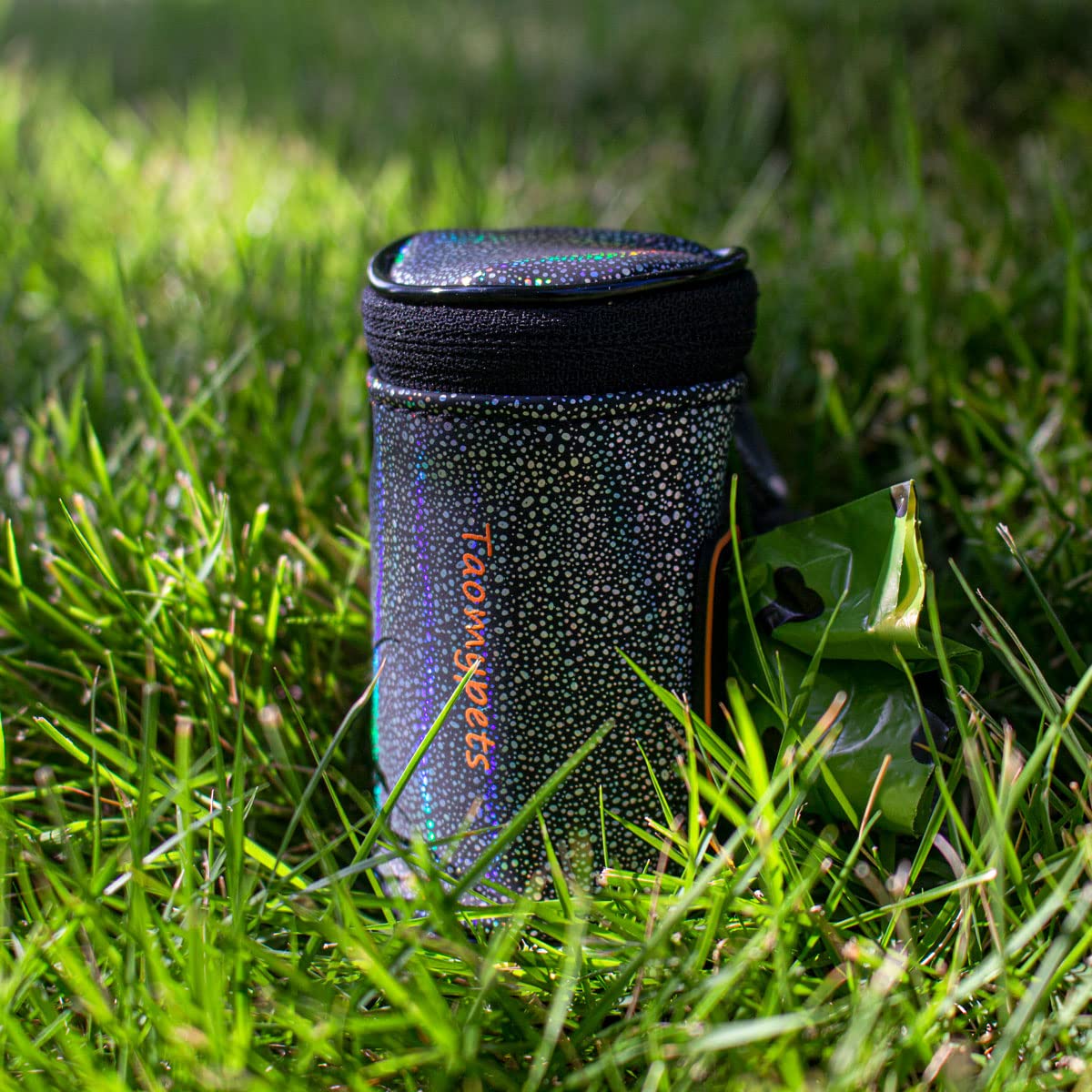 View 2