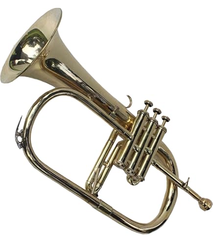 フリューゲルホルン　B&S Challenger I 3145G　美品 B♭フリューゲルホルン 3145