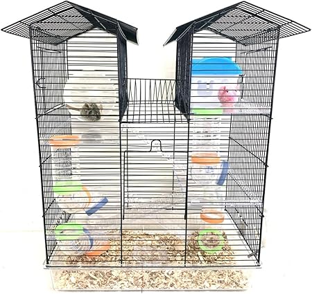 rat habitat pet