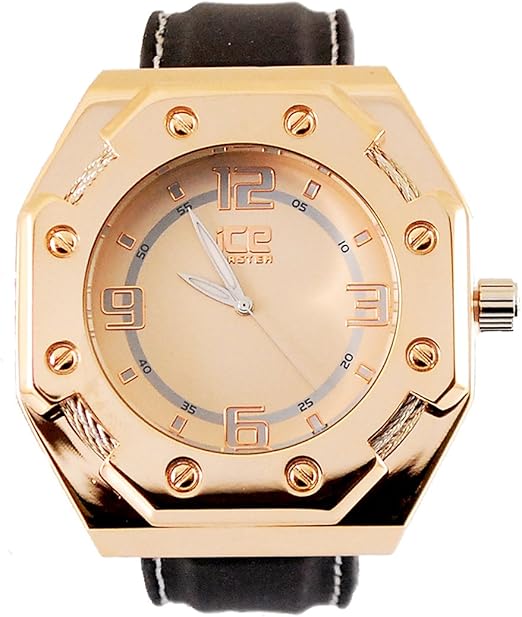 ice master watch price