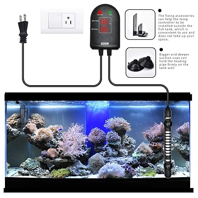 Buy U Picks Submersible Aquarium Heater 100w 300w 500w Fish Tank Heater With Intelligent External Led Digital Temperature Controller And Dual Temp Displays For Turtle Betta Fish Tank 5 130 Gallon Online In Turkey B08hcyyv85