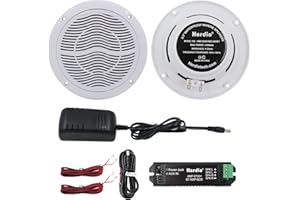 Herdio 6.5 Inches 2-Way Waterproof Marine Ceiling Speakers Compatible with Bluetooth, Max Power 120 Watts with Flush Mount, S