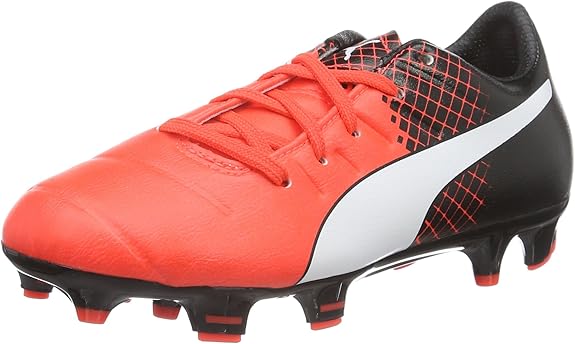 evopower 3.3