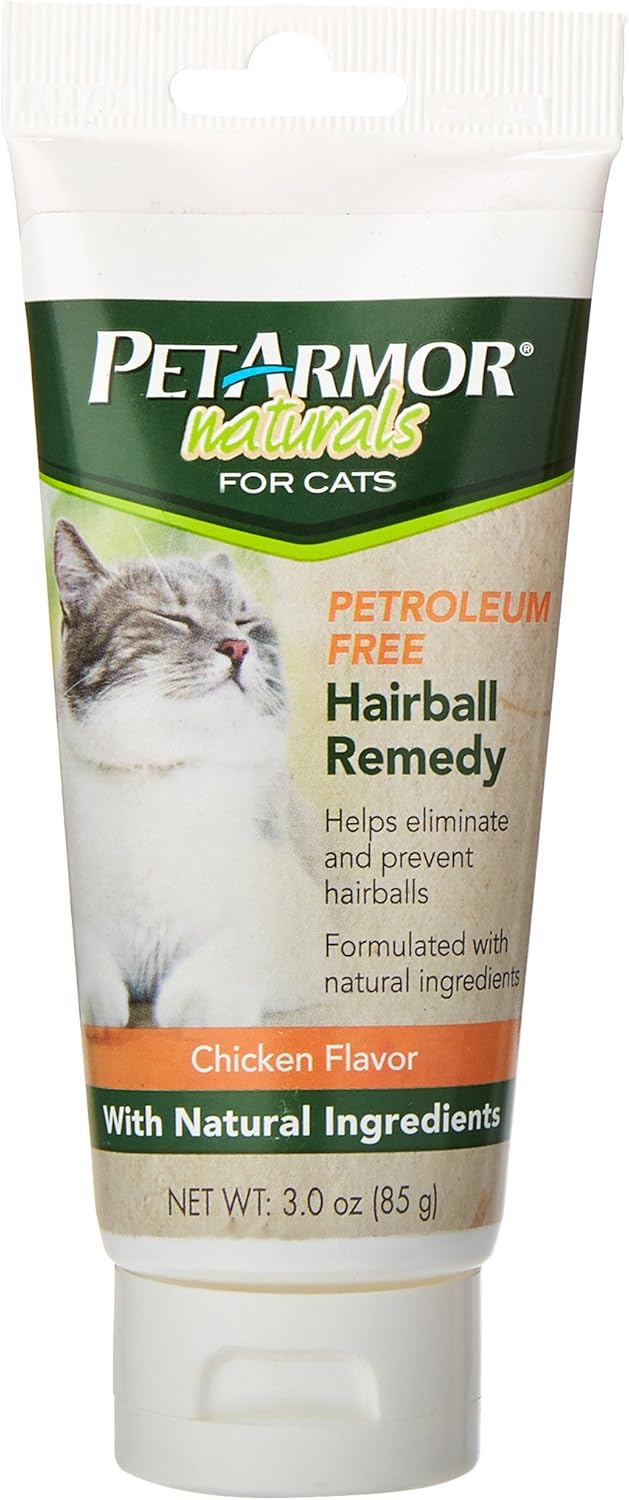 rough collie samoyed mix