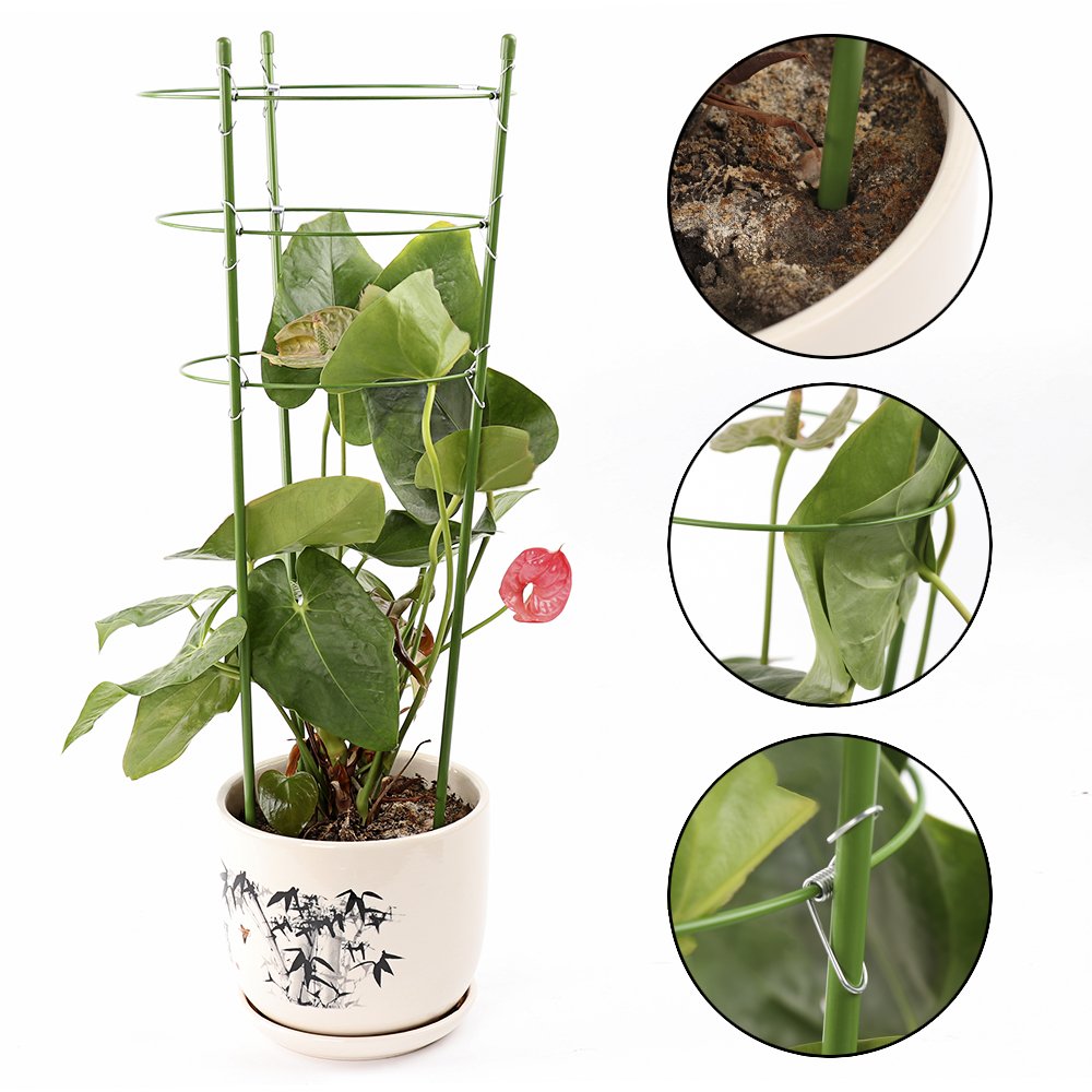 Happyshop - Jaula de apoyo para plantas con 3 anillos ajustables ...