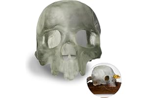 Authentic JOY Spooky Skull Décor, Premium Aquarium Resin Skull, Fish Tank Skull Decoration, Unique and Durable Snake/Reptile Hide, Halloween Aquarium Décor for Small Pets, Perfect for Terrarium Décor