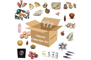 SKOGSKUNST 10Pcs Mystery Natural Oddities Collection Box - Real Fossils, Crystals & Taxidermy in Glass Vials | Dark Academia Decor for Adults & Kids | Witchy Curio Cabinet Decor | Unique Gifts for Science Lovers