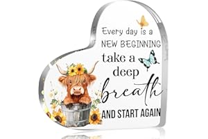 YAANUNULU Spring Decorations Highland Cow Gifts for Women Friends Daughter Sister, Every day is a New Beginning Motivational and Inspirational Decorations for Home Bathroom, Housewarming Acrylic Keepsake Gifts