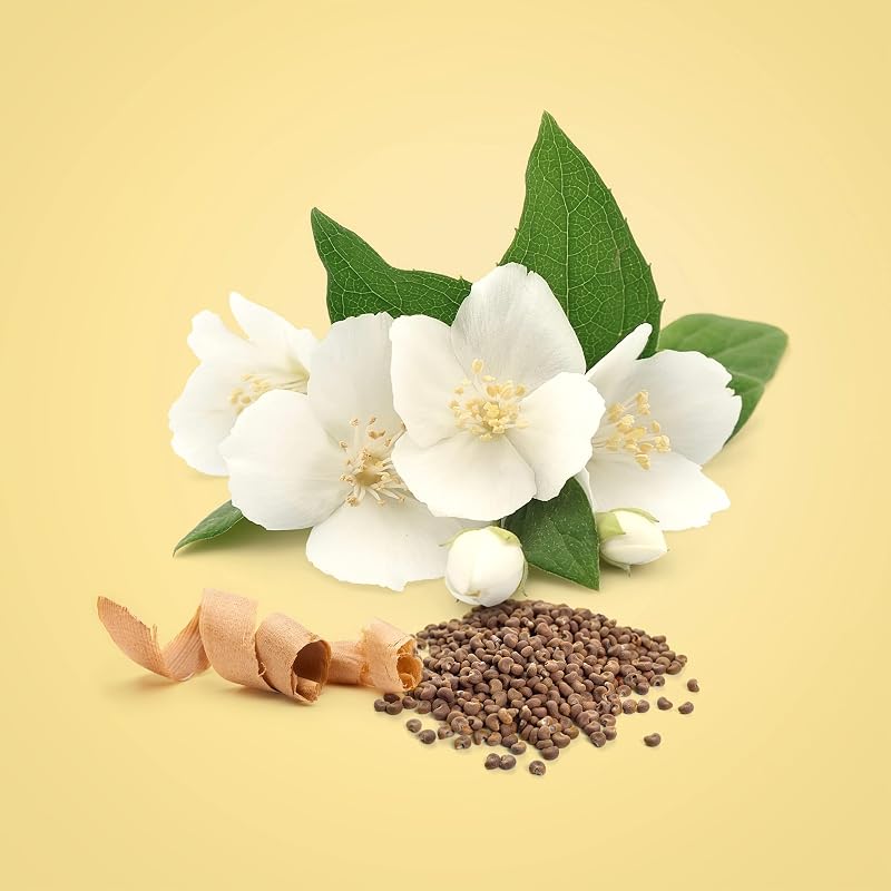 Beauty Eau de Parfum para mujer |Fragancia femenina floral con notas de jazmín y madera de cedro | Larga duración | 100ml — foto 4 de 7