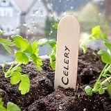 KINGLAKE 100Pcs Wooden Plant Labels with Pen 15x1.6cm Garden Markers view 7