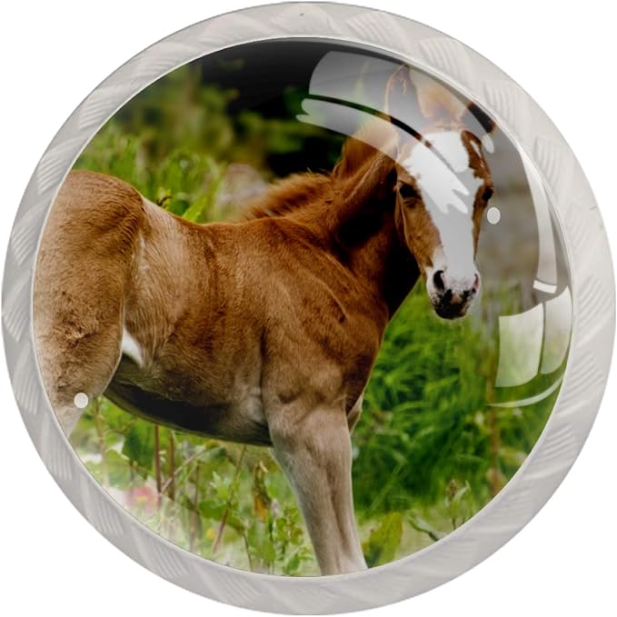 Pomo de cajón Caballo animal pomo y tirador para muebles estilo redondo