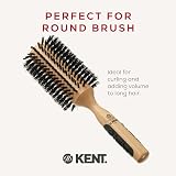 KENT 68mm Large Radial Pure Bristle Brush Beech Wood Handle - PF09 view 3