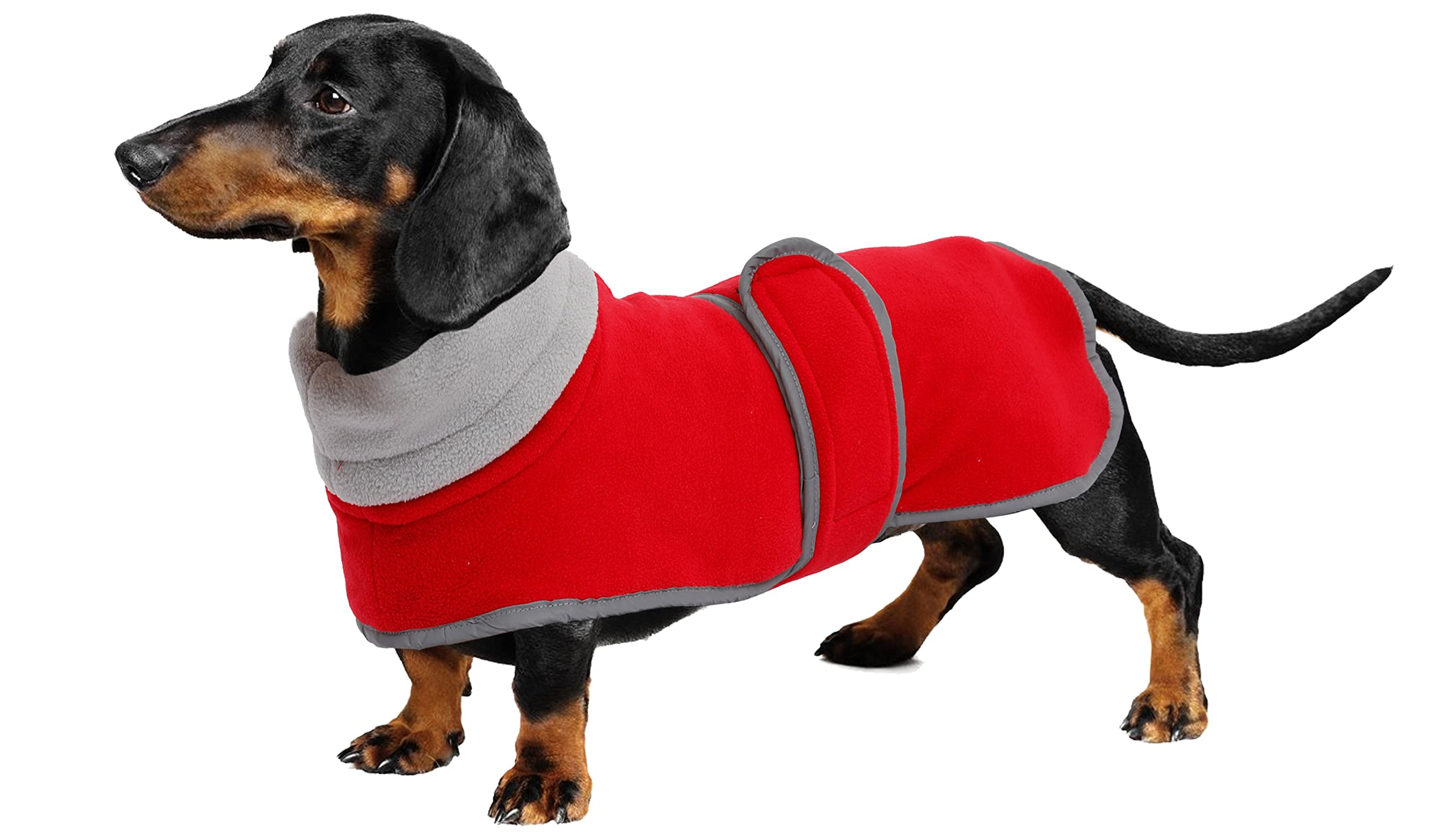 Geyecete dachshund coat with Warm Thermal Quilted, Dog miniature dachshund coats with Warm Fleece Lining, Outdoor Dog Apparel with Adjustable Bands-Red-L
