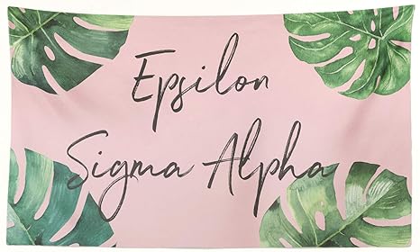 Buy Epsilon Sigma Alpha Greek Sorority Flag Display Banner Sign