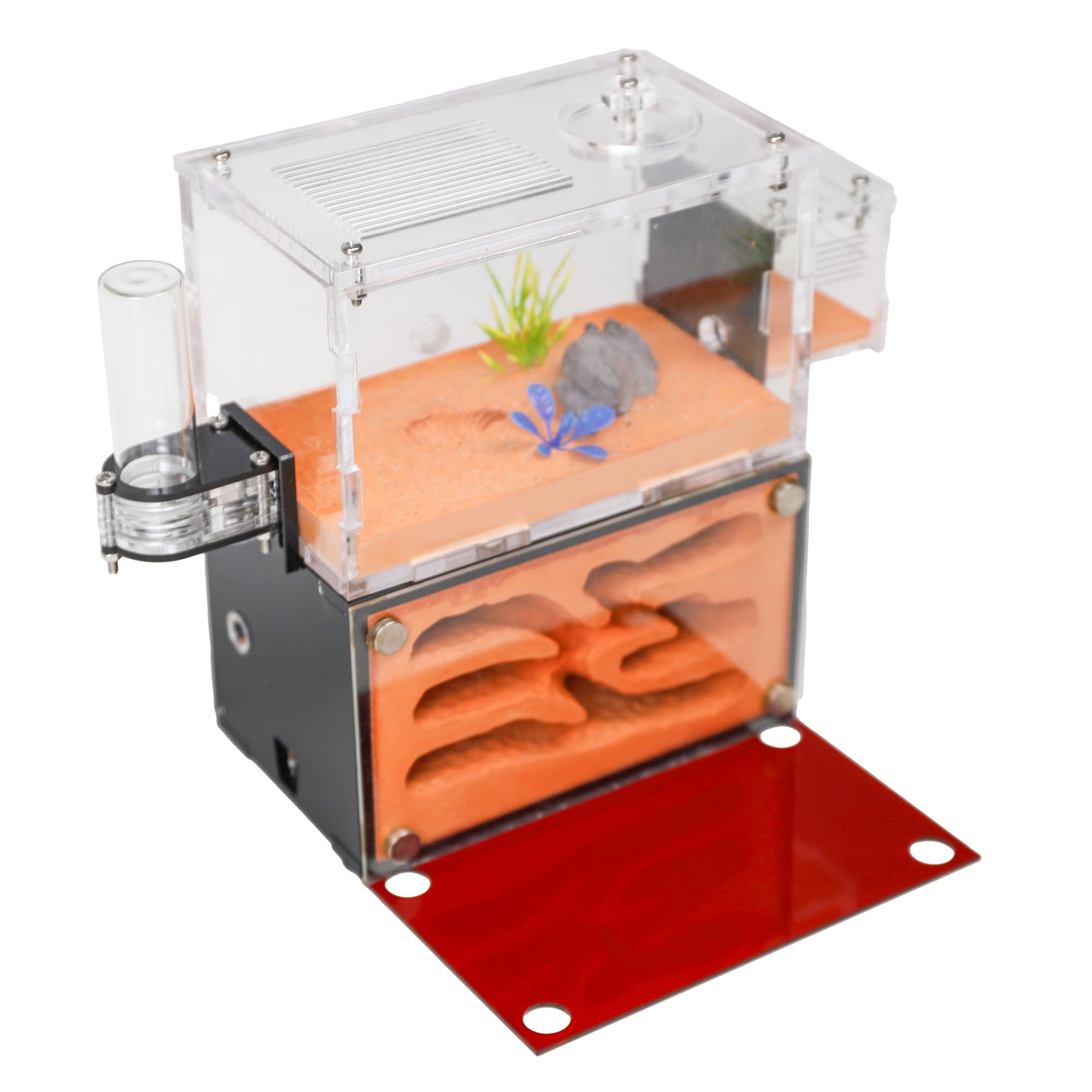 Photo 1 of Rimsunta Ant Farm Nest for Adults Study of Ant Behavior Ant Nest ant Terrarium Educational Formicarium for Live Ants and Queen Two Floor