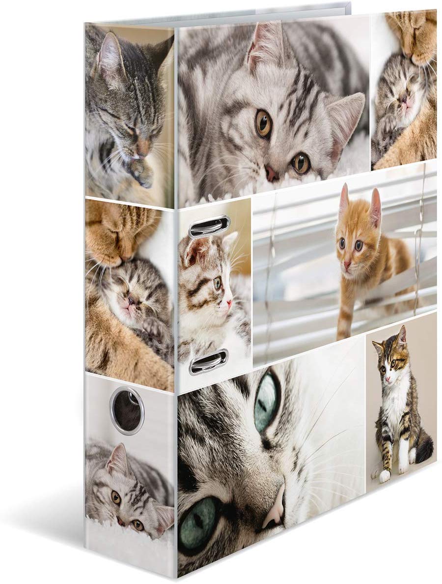 HERMA Lever Arch File Animals with Cats Motif, A4, 70 mm Spine, with Inner Print, 1 Folder — image 1