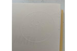 A Beautiful Math: John Nash, Game Theory, and the Modern Quest for a Code of Nature