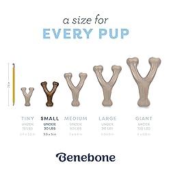 Benebone Puppy Wishbone Dog Chew Toy, Made in