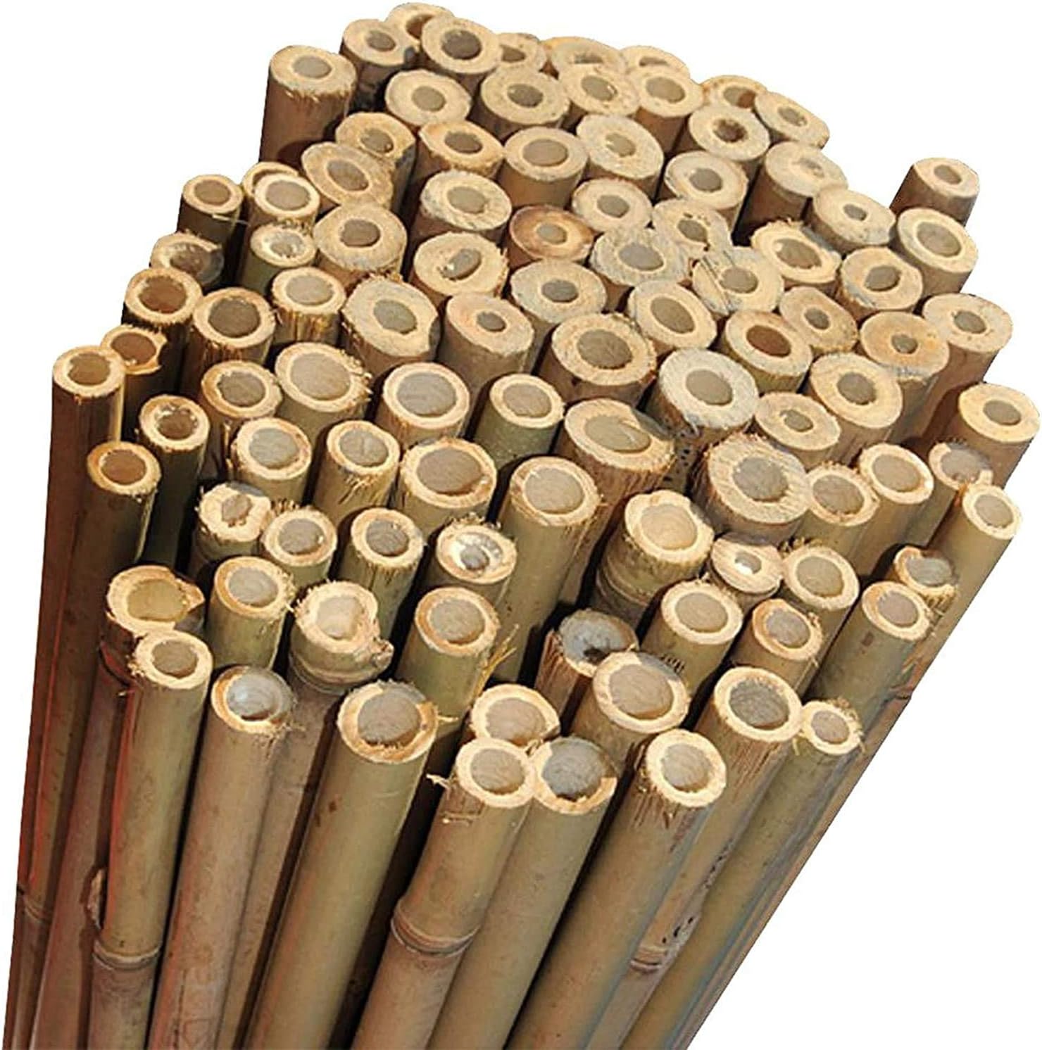 FunkyBuys 2FT 3FT 4FT 5FT 6FT 7FT 8FT Bamboo Garden Canes Strong Thick