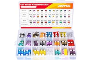 MTABCTY 300 PCS Car Fuses Assortment Kit, Micro + Mini + Standard Blade Fuses Automotive Kit (2A 3A 5A 7.5A 10A 15A 20A 25A 3