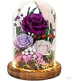 HUACHIPLUS Forever Flowers with Symbolic Ladybugs: Preserved Flowers Gift for Women-Romantic Table Centerpiece-Valentines, Anniversary, Mothers Gifts for Her-Flowers for Delivery Prime (Purple)