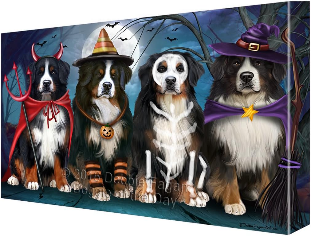 bernese mountain dog halloween
