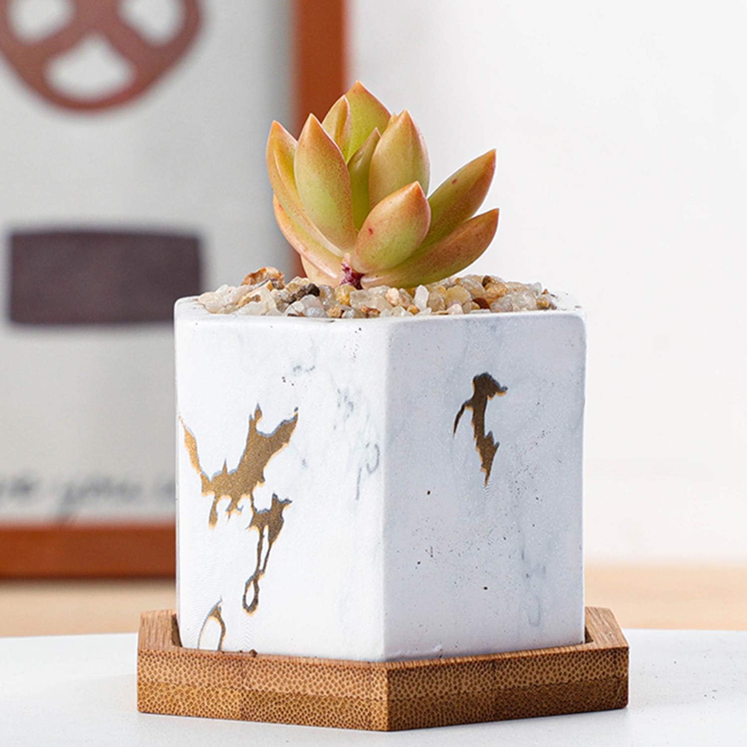 Ideal Gifts Mini Ceramic Porcelainsucculent Cactus Plant Pot Planter Container With Bamboo Tray Drainage For Home Office Desk Decoration Weiyon 2 95inch Small Succulent Pots Set Of 4 Gardening Mishavig Patio Lawn