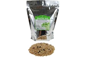 Handy Pantry Organic Biblical Bread Multi-Grain Mix - Make Scripture Bread/Flour - 2.5 Lbs - Whole Grain Mix: Wheat, Spelt, Barley, Millet, Lentils & Beans