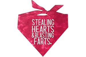 TEES & TAILS Stealing Hearts Blasting Farts Dog Bandana | 100% Cotton Tie Dye Triangle | Made in USA | Valentine's Day | Cute & Funny | One Size | Red Scrunch (983)