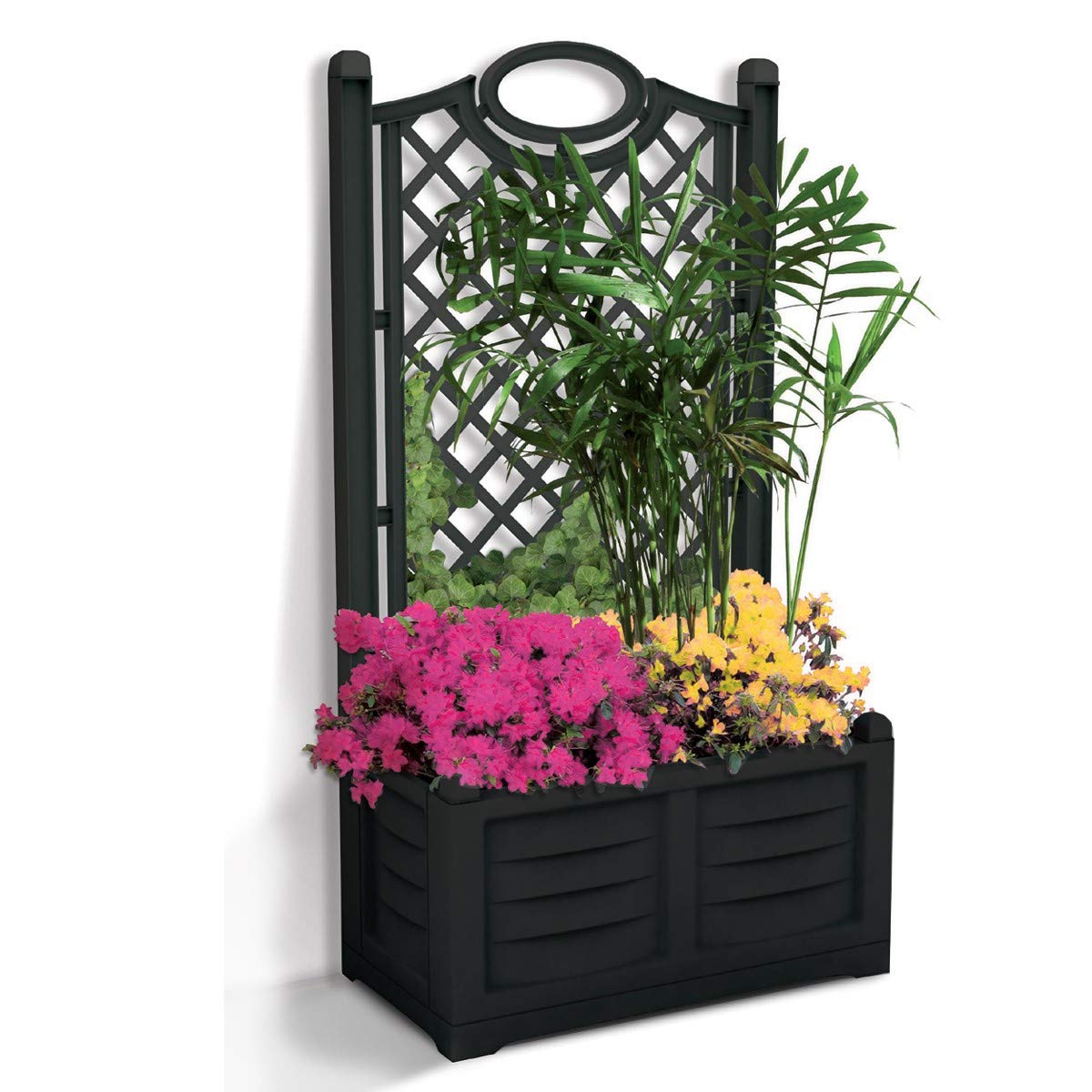 Bama Flower Box with Espalier, 80 cm