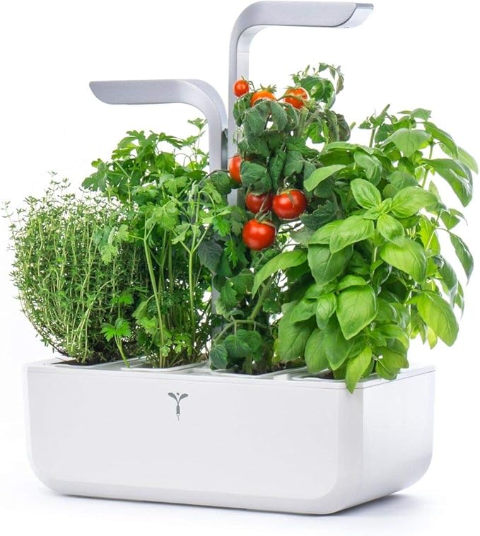 Véritable Smart Edition - Jardín hidropónico de Hierbas (Incluye 4 ...