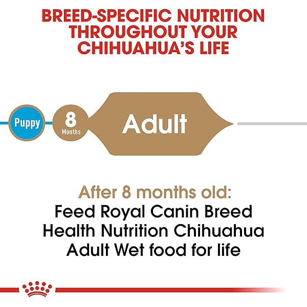 ROYAL CANIN BREED HEALTH NUTRITION CHIHUAHUA ADULT LOAF IN SAUCE WET DOG FOOD, 3 OZ CAN (4-PACK)