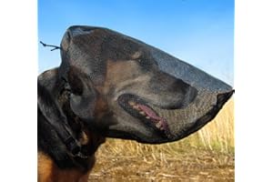 Out Fox Field Guard Size S - Vet-Recommended Dog Safety Mask for Foxtails, Grass Seeds, Bugs and Debris | Breathable, Lightweight, Patented Design | Multiple Sizes