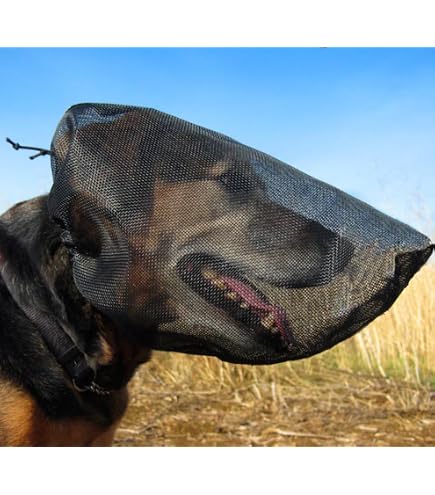 Amazon.com : Field Guard for Dogs Outdoor Hiking Camping Foxtail